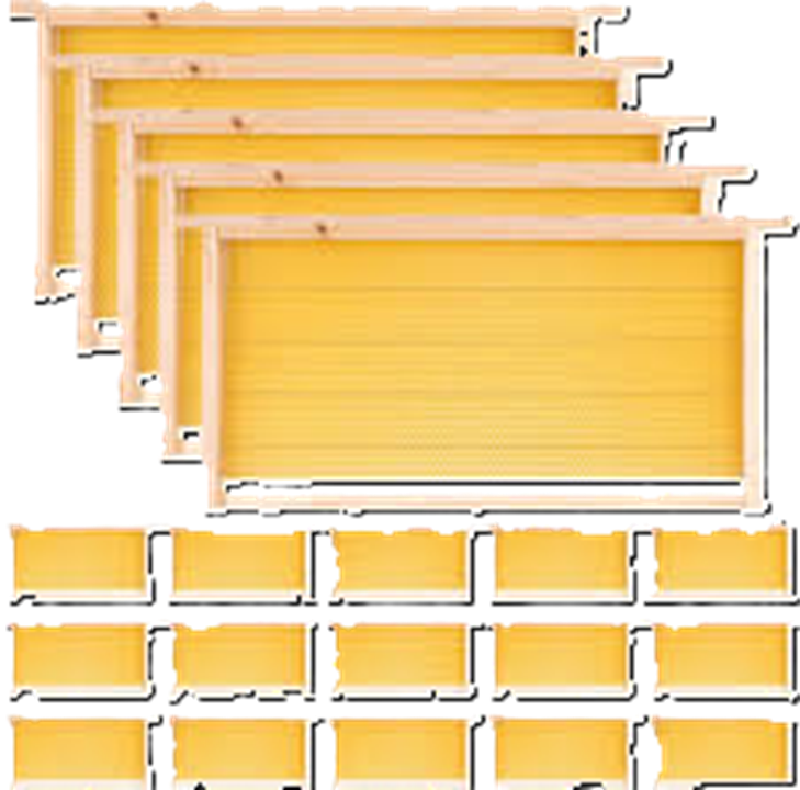 براويز خشب للنحل نخب أول – متوافقة مع خلايا لانجستروث لزيادة إنتاج العسل - الصورة 5