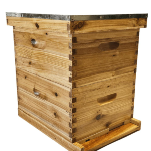 خلية نحل دورين بعسّالة مدمجة ودرج حبوب لقاح