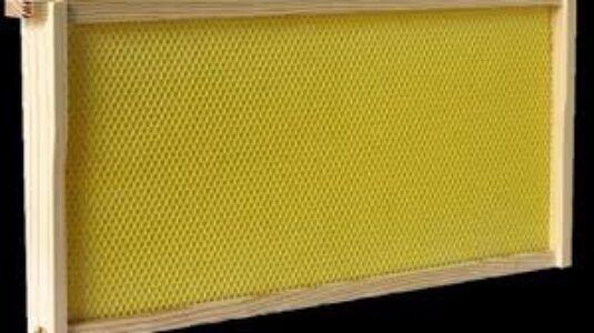 شمع أساس العسل – 2 كيلو (22 فرخ) | جودة عالية لمنحل قوي