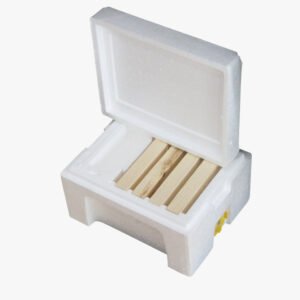 نويات تلقيح ملكات النحل من الفوم – خفيفة، عملية، وعزل حراري ممتاز