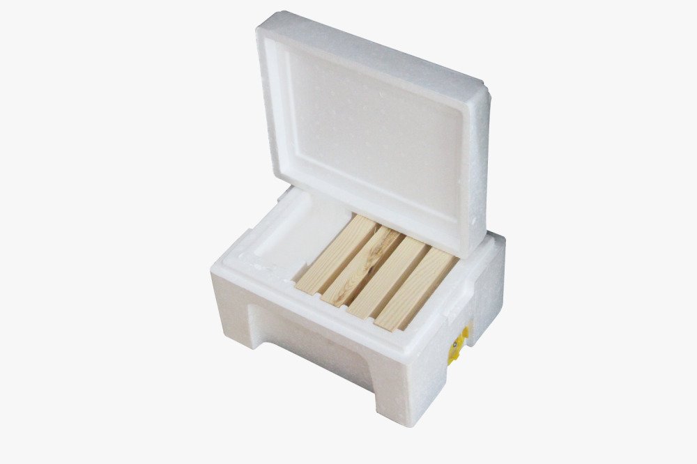 نويات تلقيح ملكات النحل من الفوم – خفيفة، عملية، وعزل حراري ممتاز