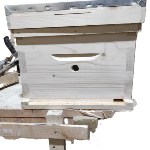 خلية نحل 10 براويز